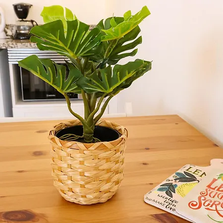 St Johns Countryside Getaway 아파트